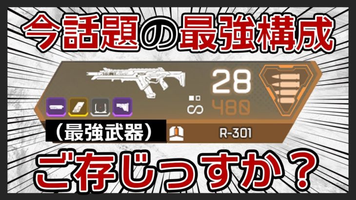 【相性が最強】R301と○○を組み合わせるのが最強すぎると話題ですよね？【APEX】