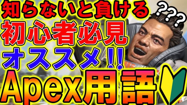 【Apexモバイル】初心者必見‼APEX専門用語まとめを分かりやすく解説！