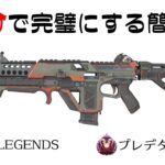 【ボルト解説】５分見れば完璧になるボルトSMG【プレデター】