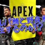 【雑談】ソロの方が強いみたいな考えのやつはフルパ鯖経験してみろよ【APEX】