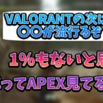 【話題】APEX→VALORANTの次に流行るゲームについて話す釈迦