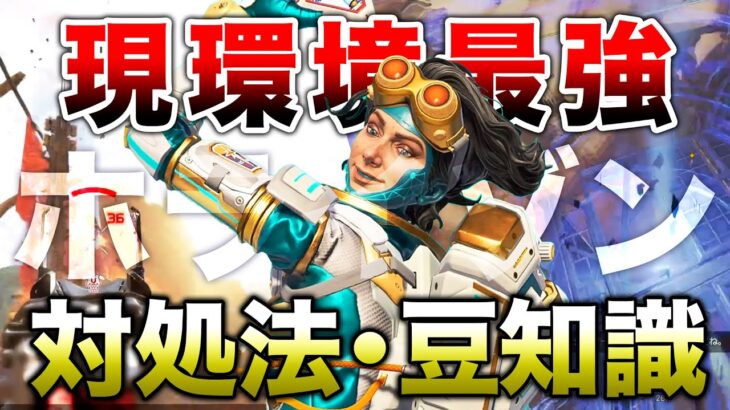 【解説】現環境最強ホライゾン 対処法・豆知識！！【APEX】